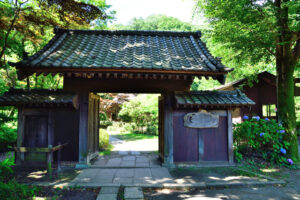 薬師池公園の薬医門